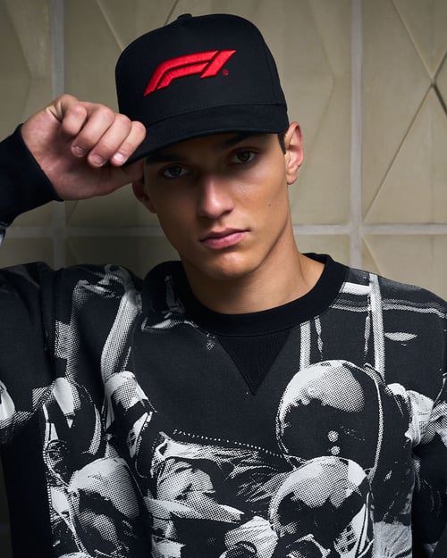 Formula 1 collectie